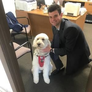 Meet your Posher, Joe